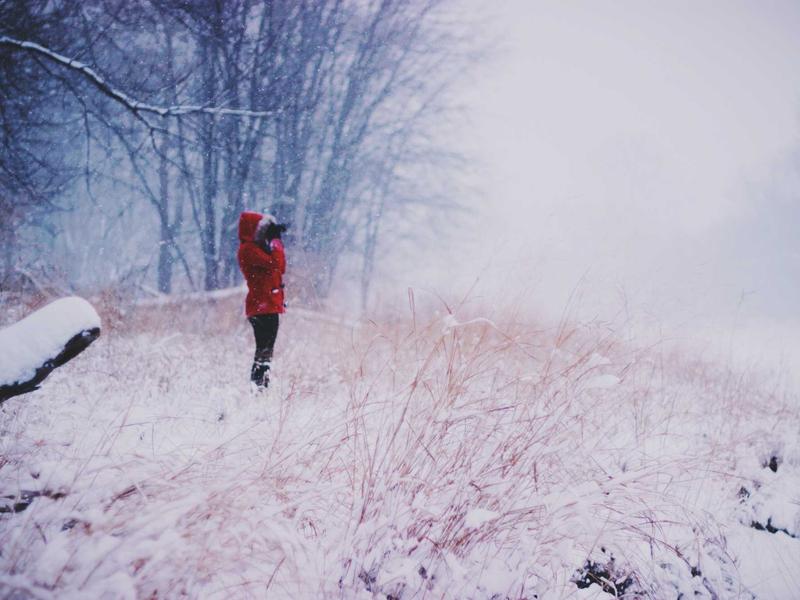 Giuseppe Moreno Salta